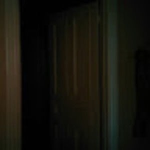 Meet your Posher, Vincent